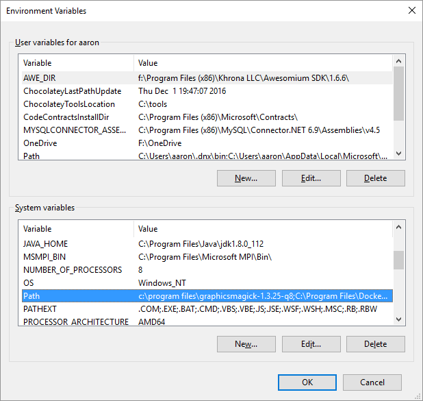 Windows System Environment Variables