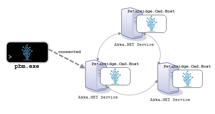 Petabridge.Cmd connectivity model